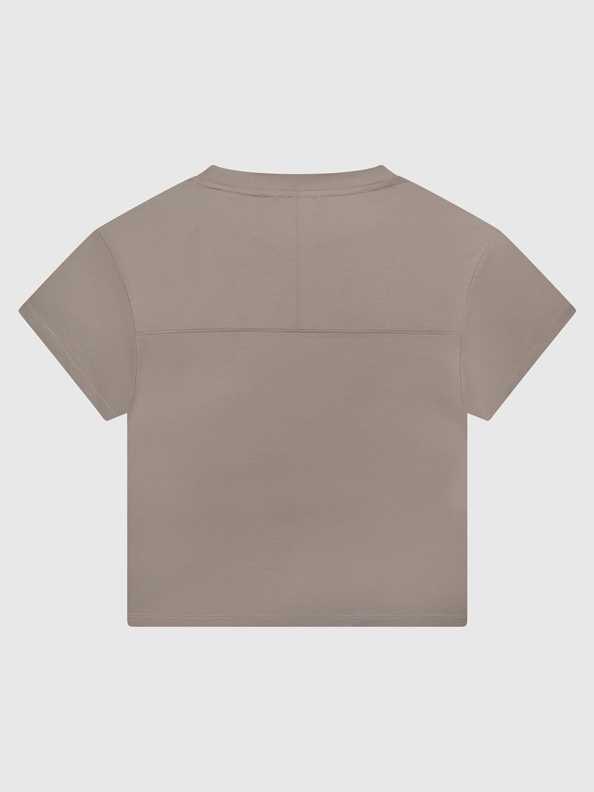 Art No. 005 / Fitted T-shirt Grey